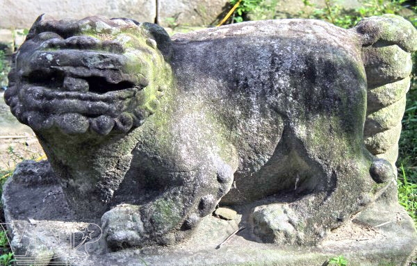 Ảnh đẹp - Báo Ảnh