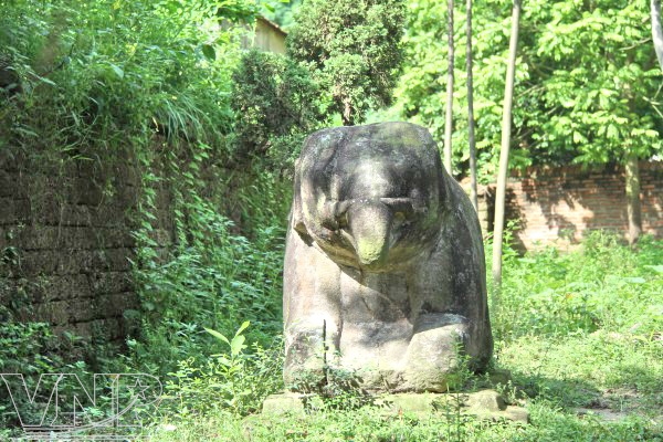 Ảnh đẹp - Báo Ảnh