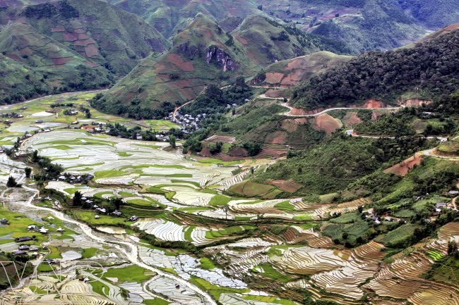 Hoang Su Phi terraced fields