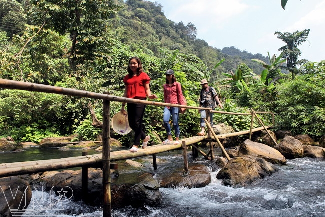 Un pont en bambou qui rehausse la beauté primitive du ruisseau Nuoc Mooc.