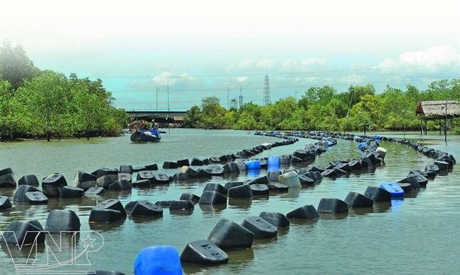Ảnh đẹp - Báo Ảnh