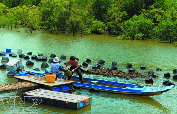 Ảnh đẹp - Báo Ảnh