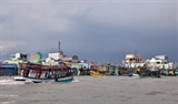 Sông Đốc sôi động
