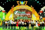 Tôn vinh “hạt ngọc” Việt