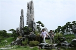 Vườn cảnh 