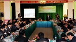 Hội thảo chuyên đề: 