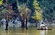 The Beauty of Noong Lake