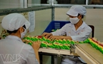 Biscafun - Hơn cả niềm vui