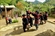 Trẻ Dao Tiền chơi Tết 