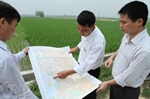 Mai Đình từng bước xây dựng nông thôn mới