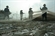 White Sardine Season in Giao Thuy