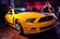 “Ngựa hoang” Mustang 2013 