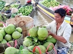 ĐBSCL chọn thế mạnh sản xuất trái cây đặc sản