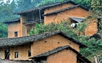 Reino de las casas Trinh tuong