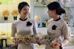 Yến sào Khánh Hòa