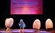 The 3rd International Puppet Festival