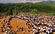 Con Throwing Festival