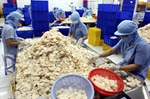 Les croustilles de crevettes de Sa Giang
