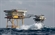 DK1 Oil Rig Protection Posts