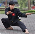 Xà quyền