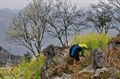 On the Rocky Plateau