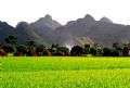 Ha Nam with policies to attract investors