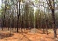 Gia Lai on its development