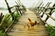 Vietnam’s longest bamboo bridge
