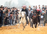 Náo nhiệt hội đua ngựa Mông ở Hà Nội