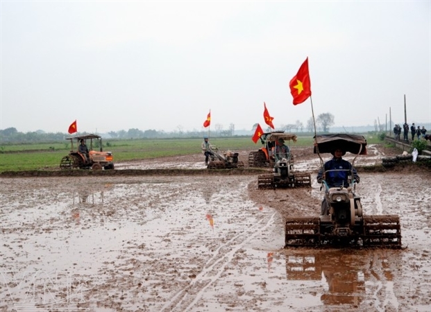 Des cultivateurs descendant aussi aux champs.