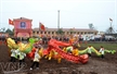 La danse du dragon entamant la fête Tịch điên Doi Sơn 2012.