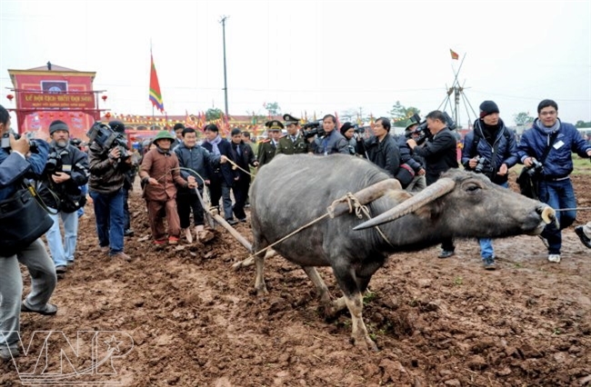 Le président de la République Truong Tân Sang participant lui-même au labour. 