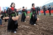 Les jeunes filles suivant les sillons pour semer les grains.