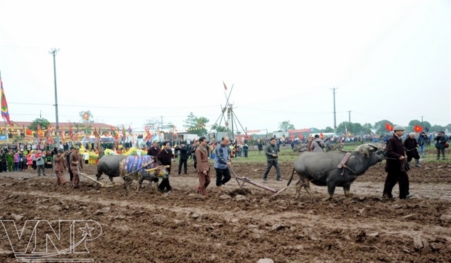 Les paysans descendant en foule aux champs pour labourer la terre.