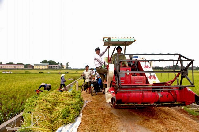 新农村建设规划_新农村规划人均指标(3)