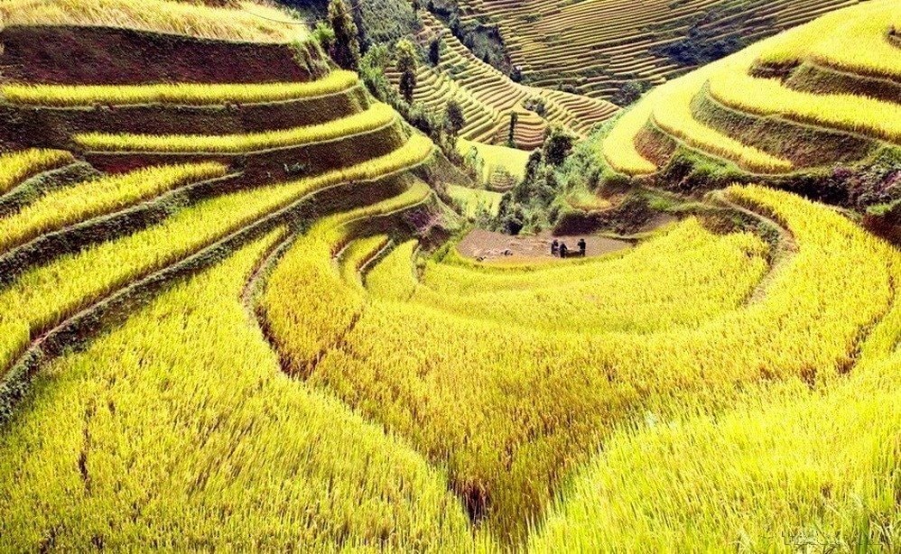 Вьетнам: страна культурного разнообразия, где традиции встречаются с современностью.