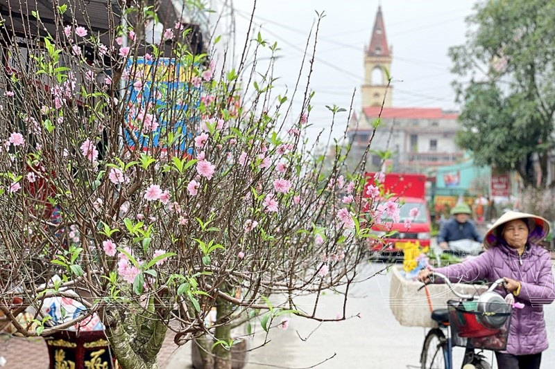 Le bourg de Quy Nhât salue le printemps