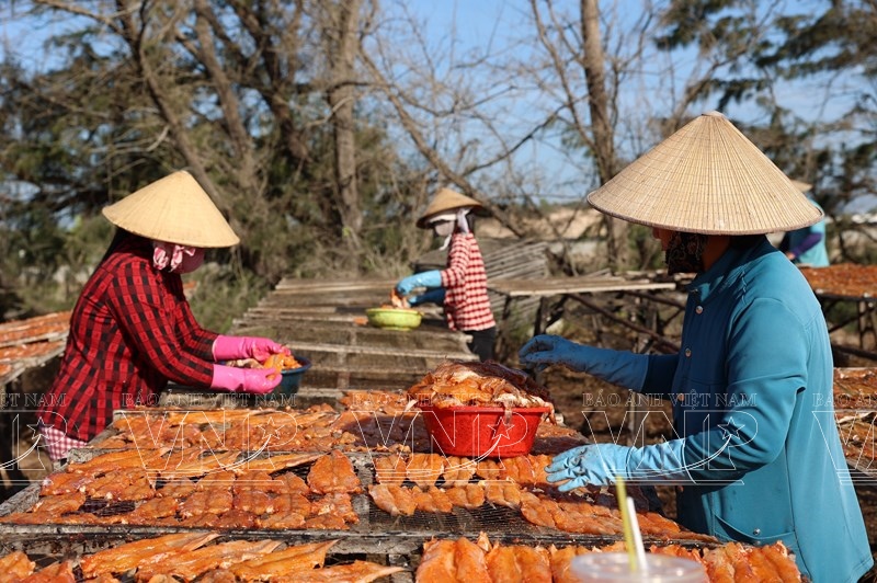 TP. Hồ Chí Minh: Hải sản khô tấp nập vào vụ Tết