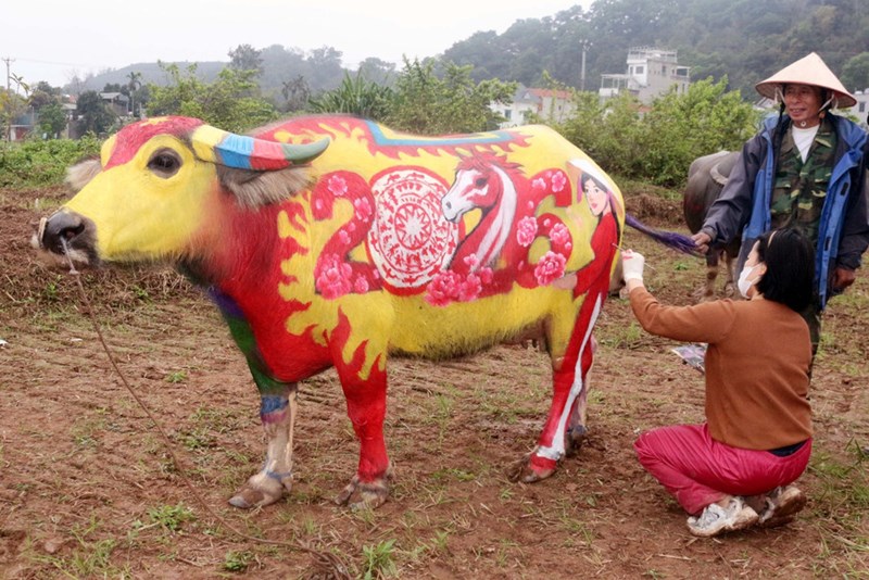 Atractivo concurso de pintura corporal de búfalos en Vietnam