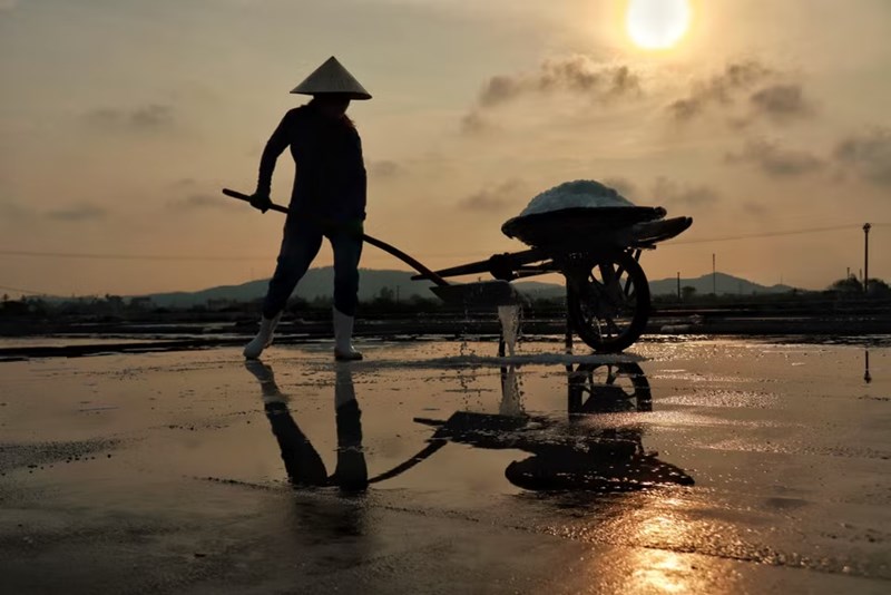 Conservando el sabor salado entre el sol y el viento del Centro de Vietnam