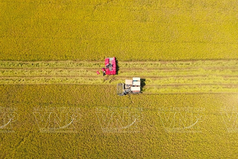 Tây Ninh thu hút đầu tư sản xuất nông nghiệp công nghệ cao với gần 2.450 ha