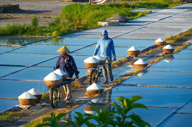 越南河静州夏盐田：烈日下坚守传统制盐业的咸味守护人