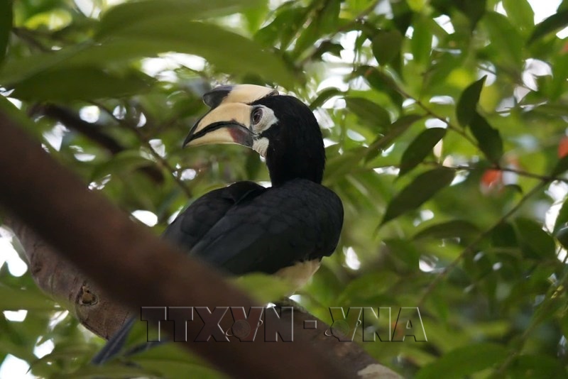 Bach Ma National Park Seeks to Unlock Tourism Potential through Biodiversity