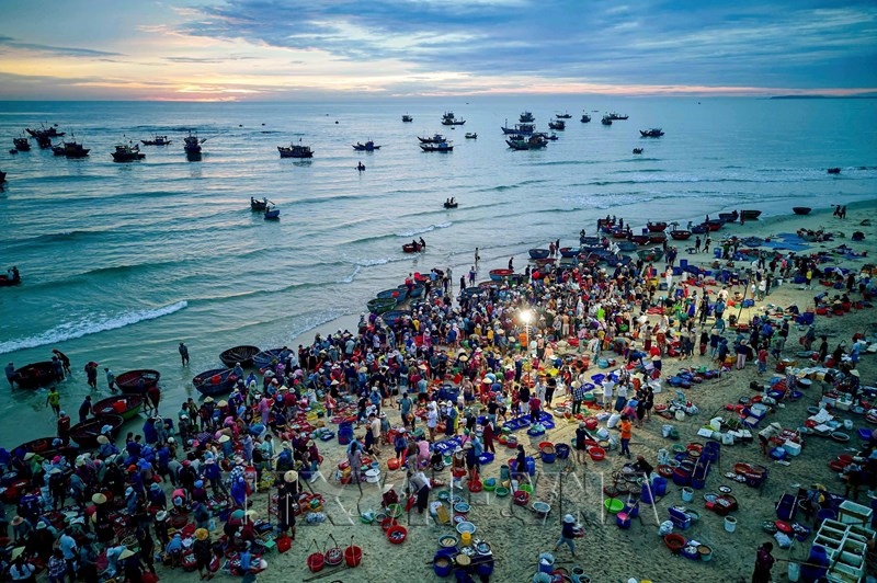 Nhộn nhịp chợ cá Tam Tiến