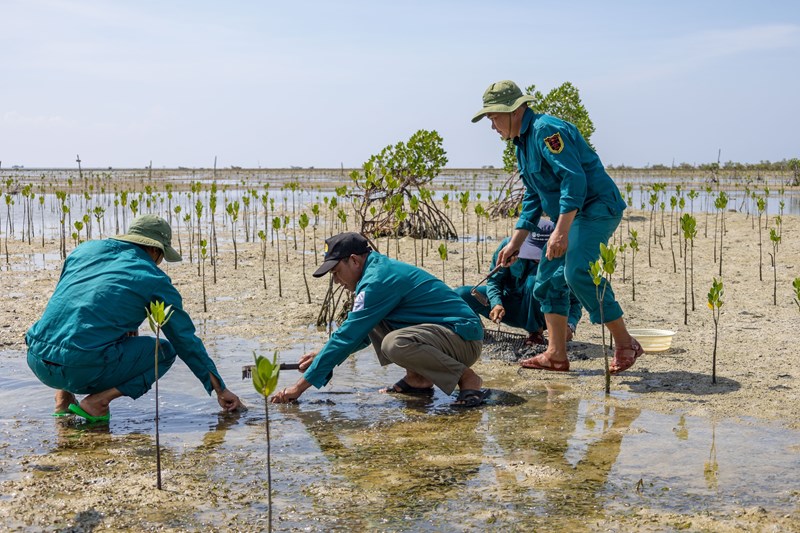 Miền Trung chuyển đổi sinh kế thích ứng với khí hậu cực đoan