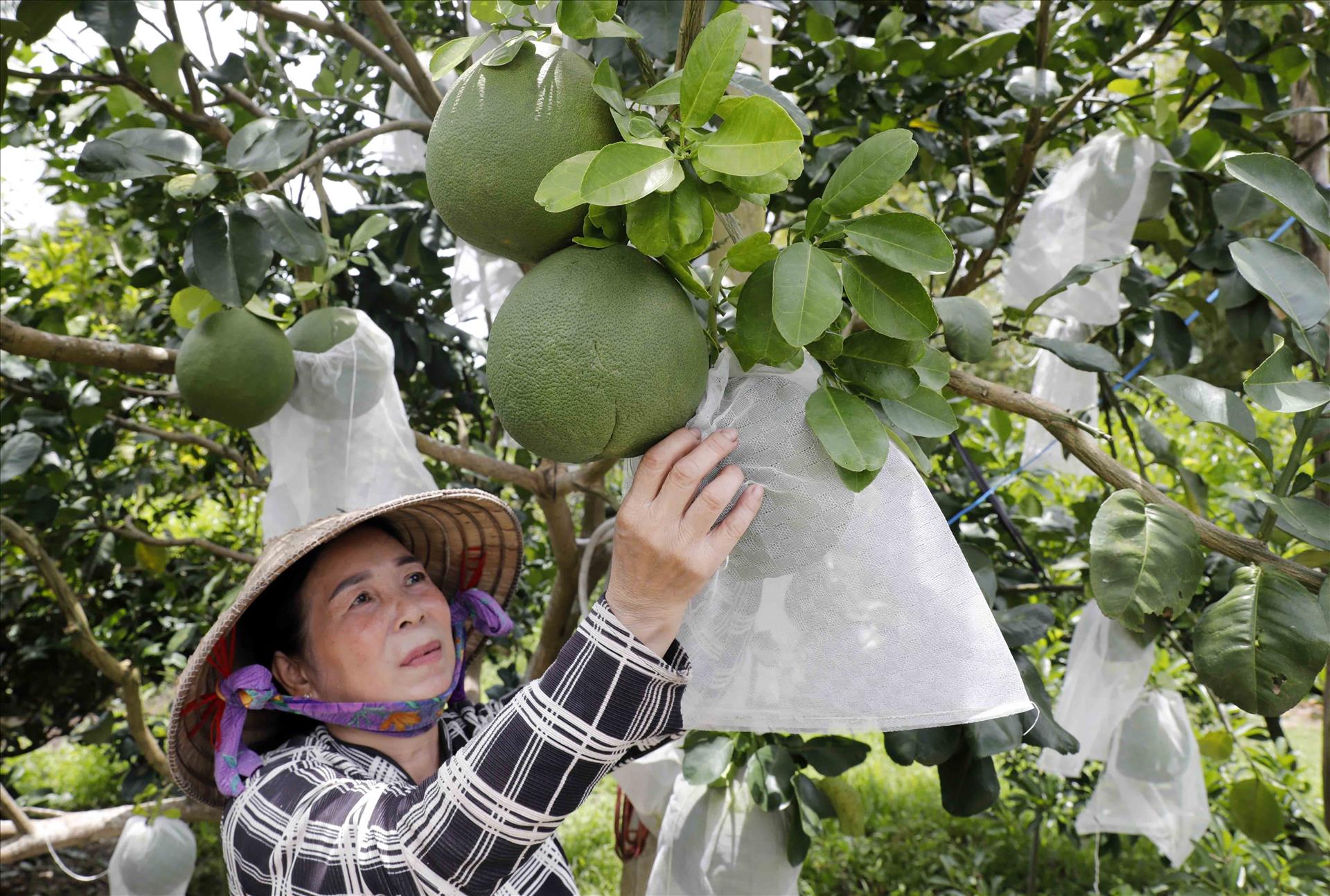 Những con số “biết nói” trong hành trình giảm nghèo bền vững ở Việt Nam