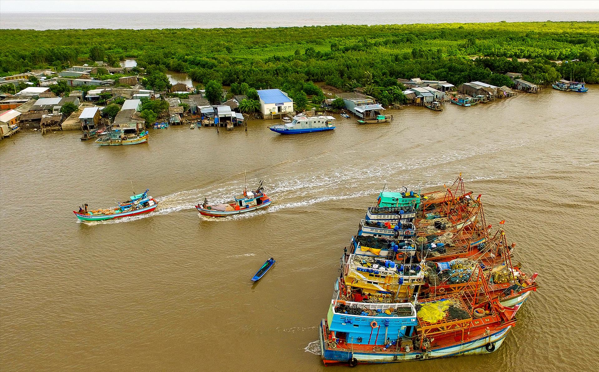 Life on the Rach Tau River - Vimarsana News