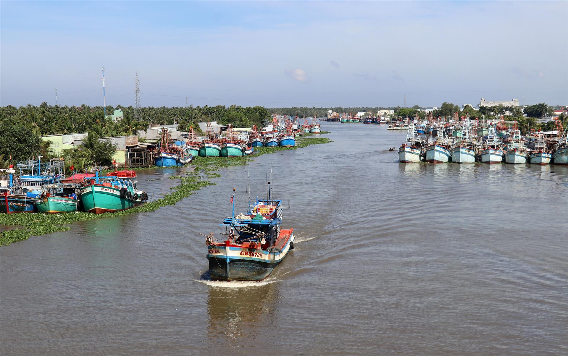 Vietnam's Improvements in Removing the IUU Fishing Yellow Card - Vimarsana News