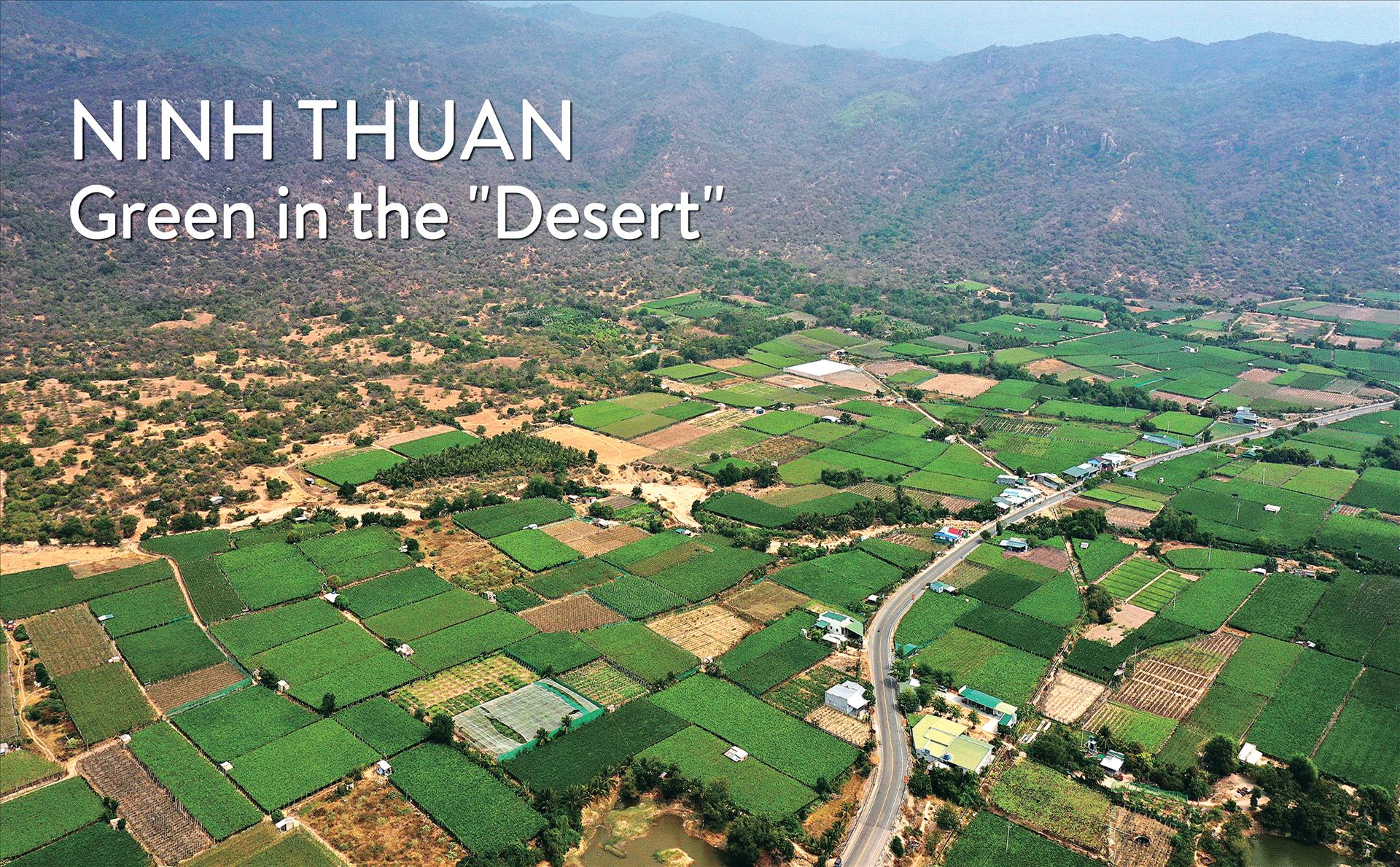 Xe Ninh Thuận đi Hà Tĩnh