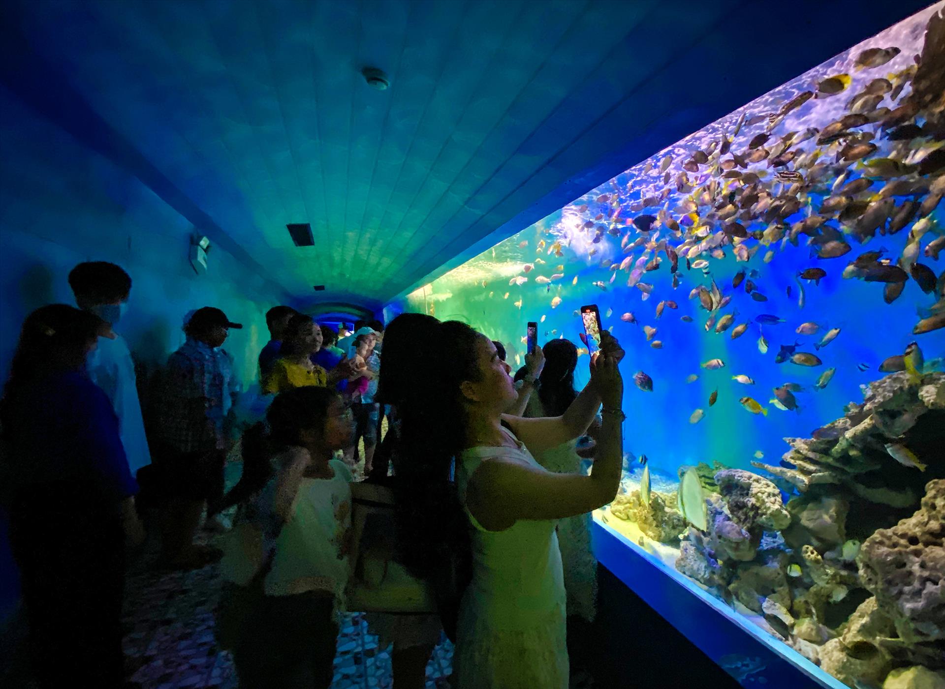 Khám phá đại dương tại Viện Hải Dương học Nha Trang